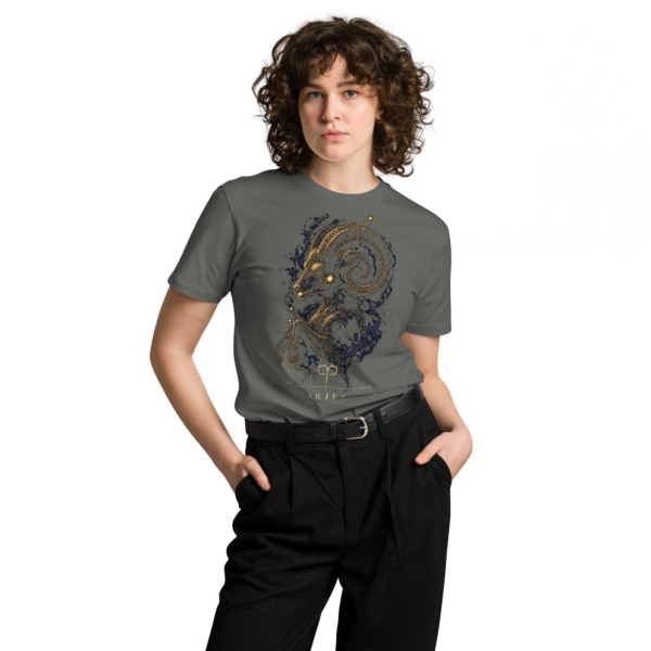 Unisex premium t shirt charcoal front 6a94280888494.png